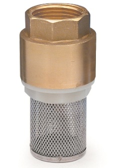 Image showing Foot valve